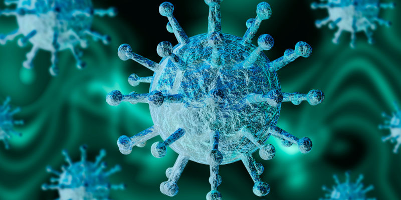 新冠病毒的各种发现描绘了其起源的不同图景